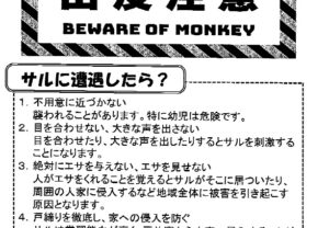 サル出没注意,高山市,平湯