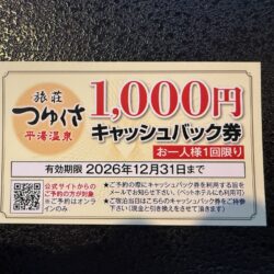 1,000円,ｷｬｯｼｭﾊﾞｯｸ券
