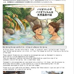 温泉､バイオマット､緑､バイオフィルム､湯の花