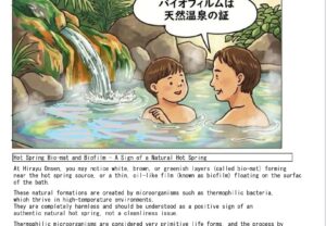 温泉､バイオマット､緑､バイオフィルム､湯の花