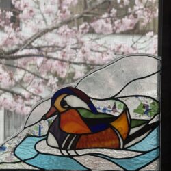 オシドリ、ステンドグラス