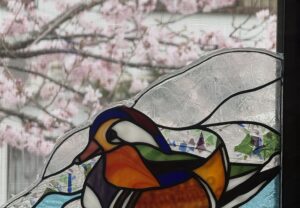 オシドリ、ステンドグラス