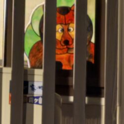 くま，フクロウ、ステンドグラス