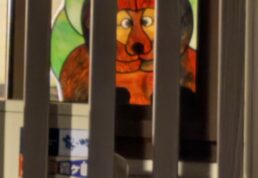 くま，フクロウ、ステンドグラス