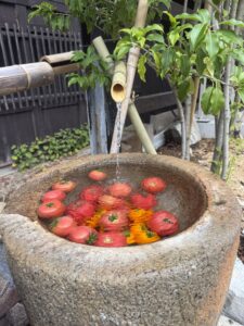 水鉢，トマト、無人販売