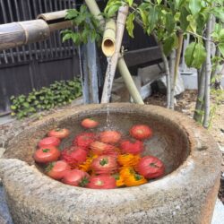 水鉢，トマト、無人販売